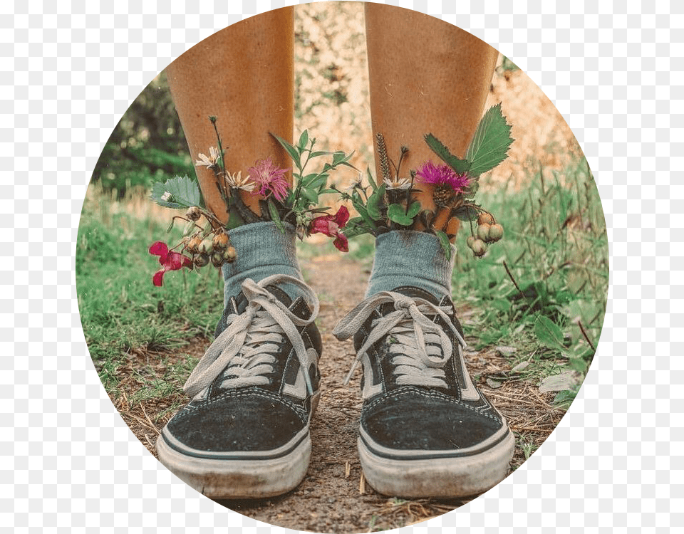 Vans Shoes Earthy Earth Kids 90s Sticker By Joslin Aesthetic Flowers In Shoes, Clothing, Shoe, Potted Plant, Plant Free Png