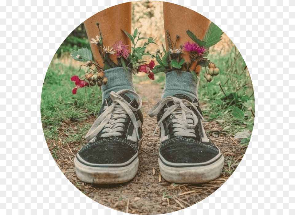 Vans Vansofthewall Vansoffthewall Shoes Icon Icons Flowers And Shoes Aesthetic, Clothing, Shoe, Potted Plant, Plant Png Image