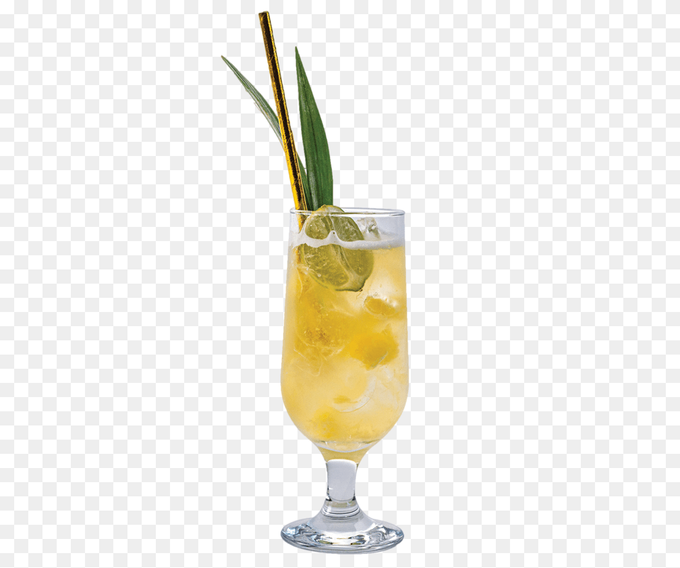Vantage Tropical Highball, Alcohol, Beverage, Cocktail, Mojito Png Image