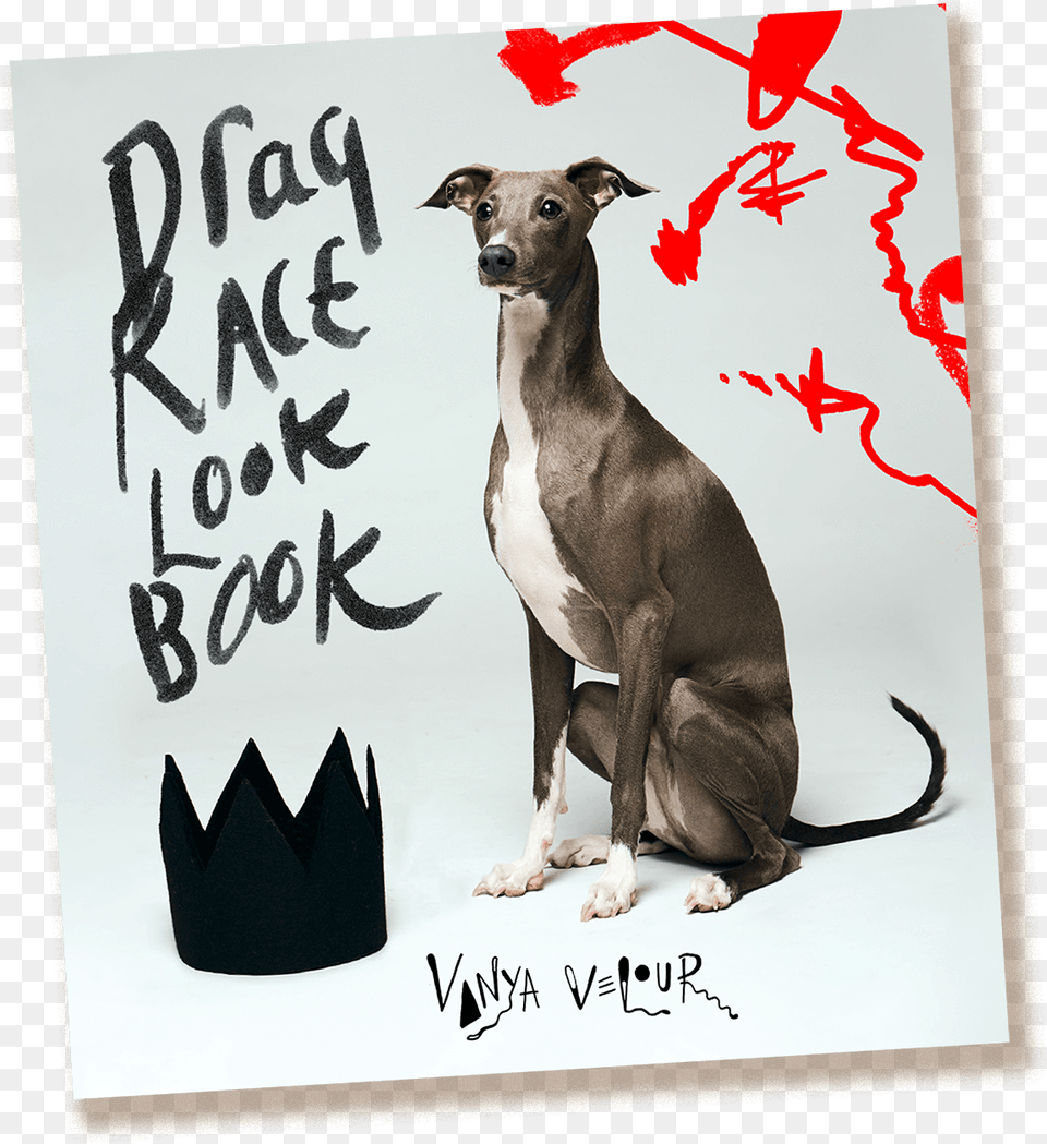 Vanya Velour S Drag Race Look Book Kangaroo, Animal, Canine, Dog, Envelope Png Image