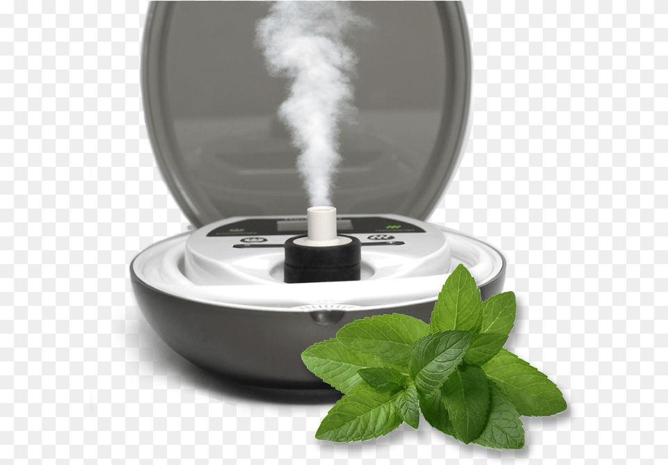 Vapor Therapy, Herbs, Plant, Mint, Herbal Free Png Download