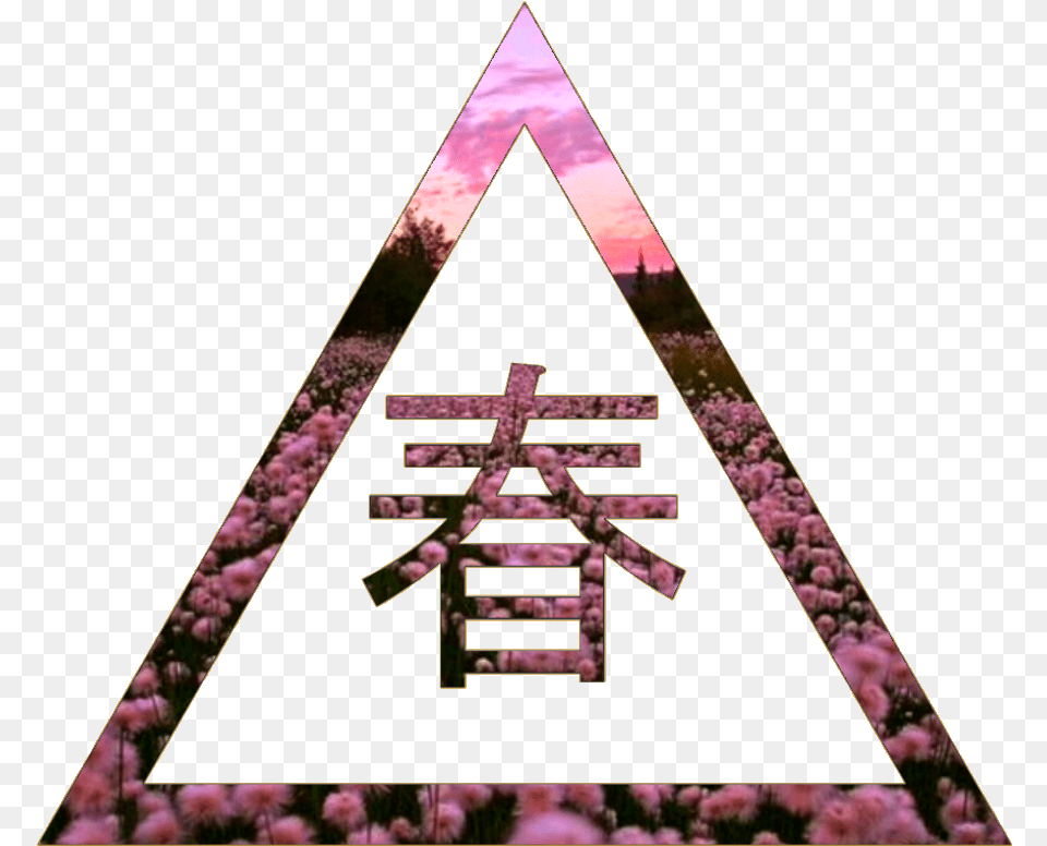 Vaporwave, Purple, Triangle, Nature, Outdoors Free Png