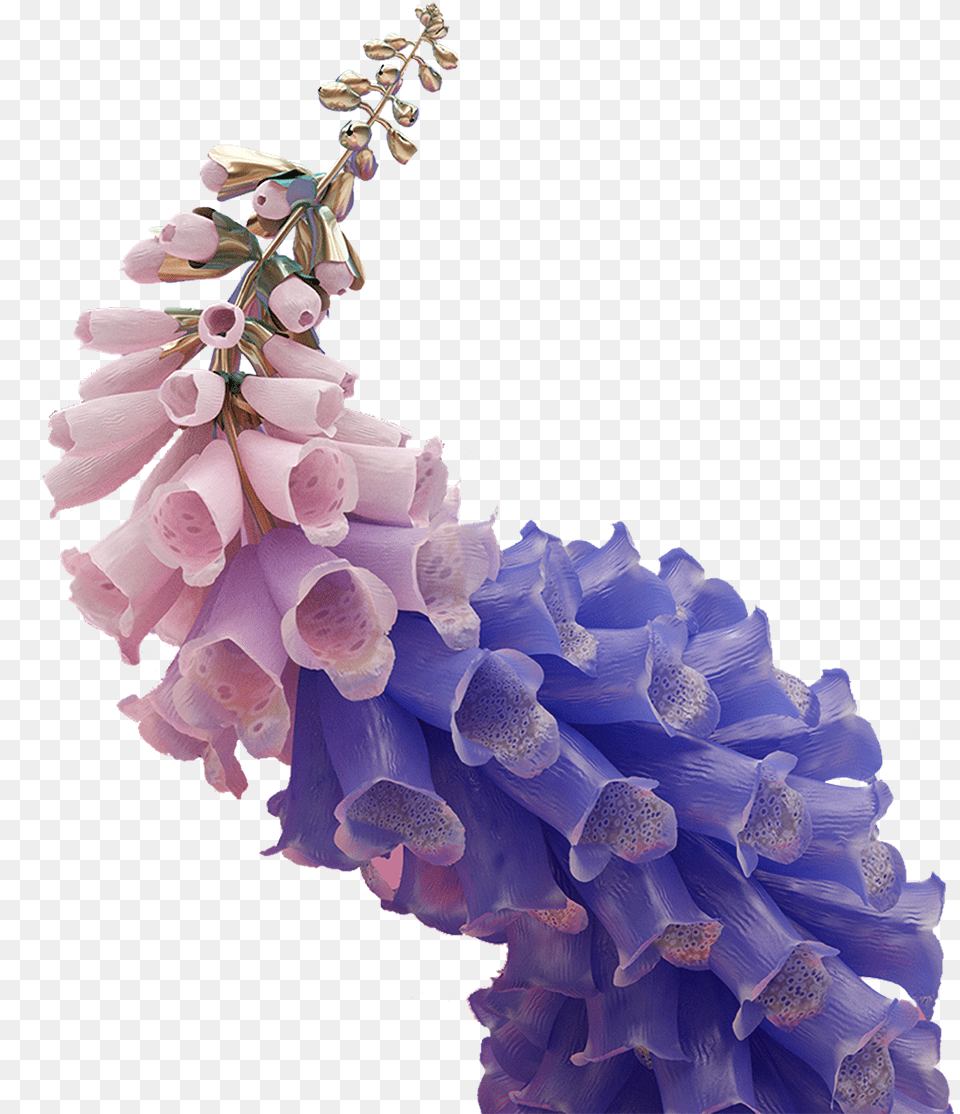 Vaporwave, Flower, Plant, Lupin Free Transparent Png