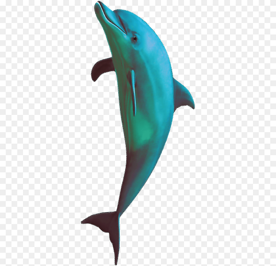 Vaporwave Aesthetic Aesthetics Dolphin Freetoedit Aesthetic Vaporwave Dolphin, Animal, Mammal, Sea Life, Fish Free Png Download