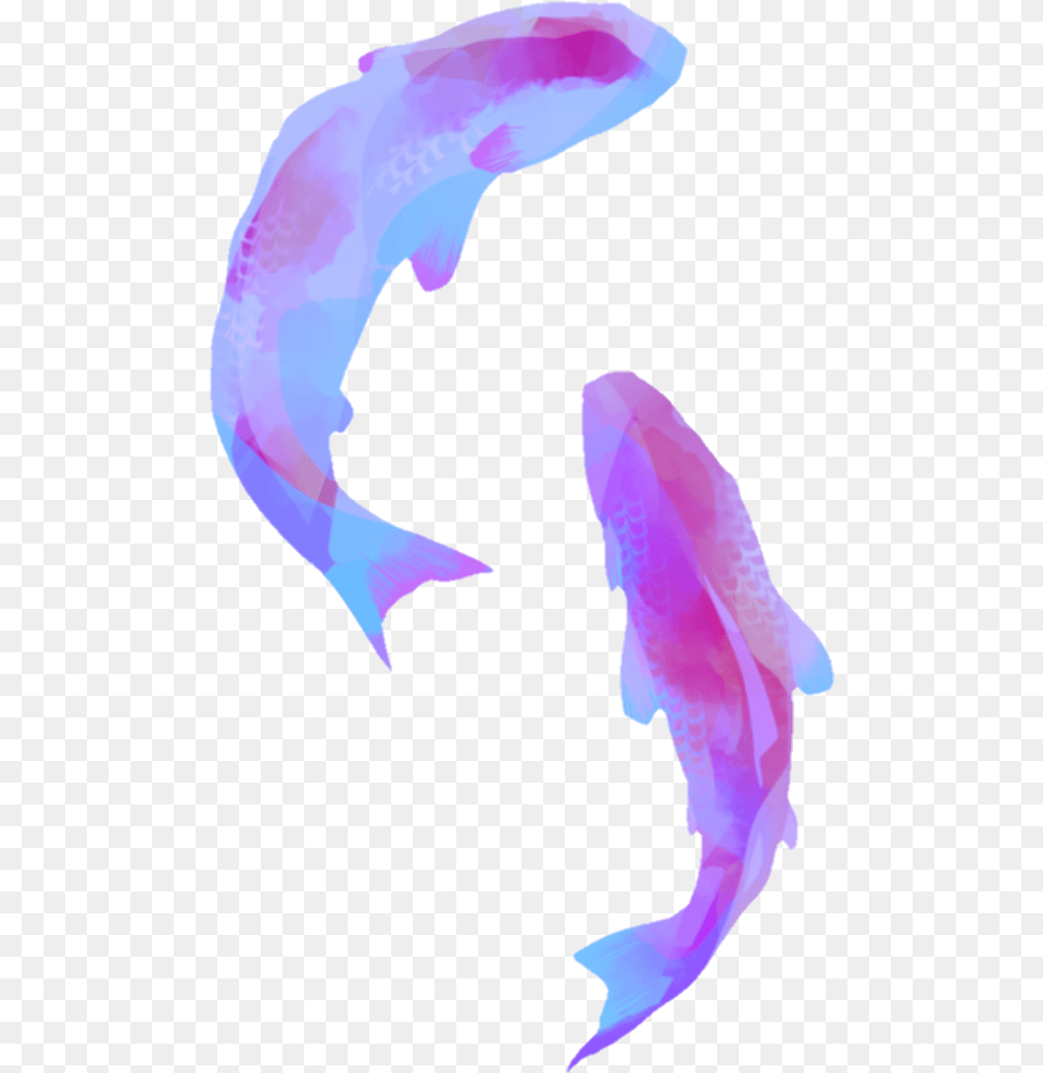Vaporwave Aesthetic Vaporwaveaesthetic Tumblr Dolphin Light Purple Aesthetic, Person, Animal, Sea Life, Fish Png