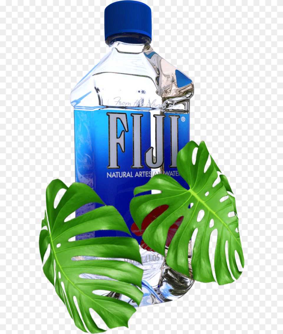 Vaporwave Fiji Water, Bottle, Water Bottle, Beverage, Mineral Water Free Png
