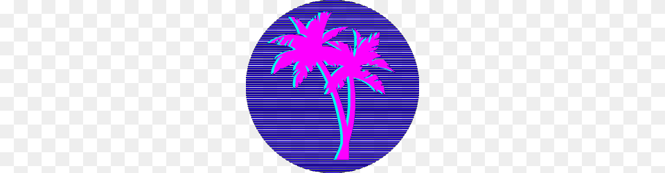 Vaporwave Pictures, Palm Tree, Plant, Tree, Light Free Transparent Png