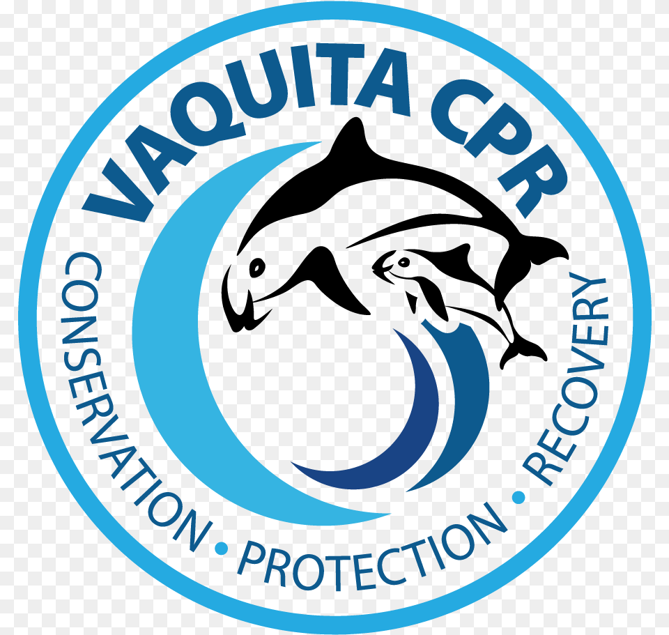 Vaquita Logo English Color Vaquita Cpr Logo Png Image