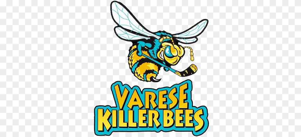 Varese Killer Bees, Animal, Bee, Insect, Invertebrate Free Png