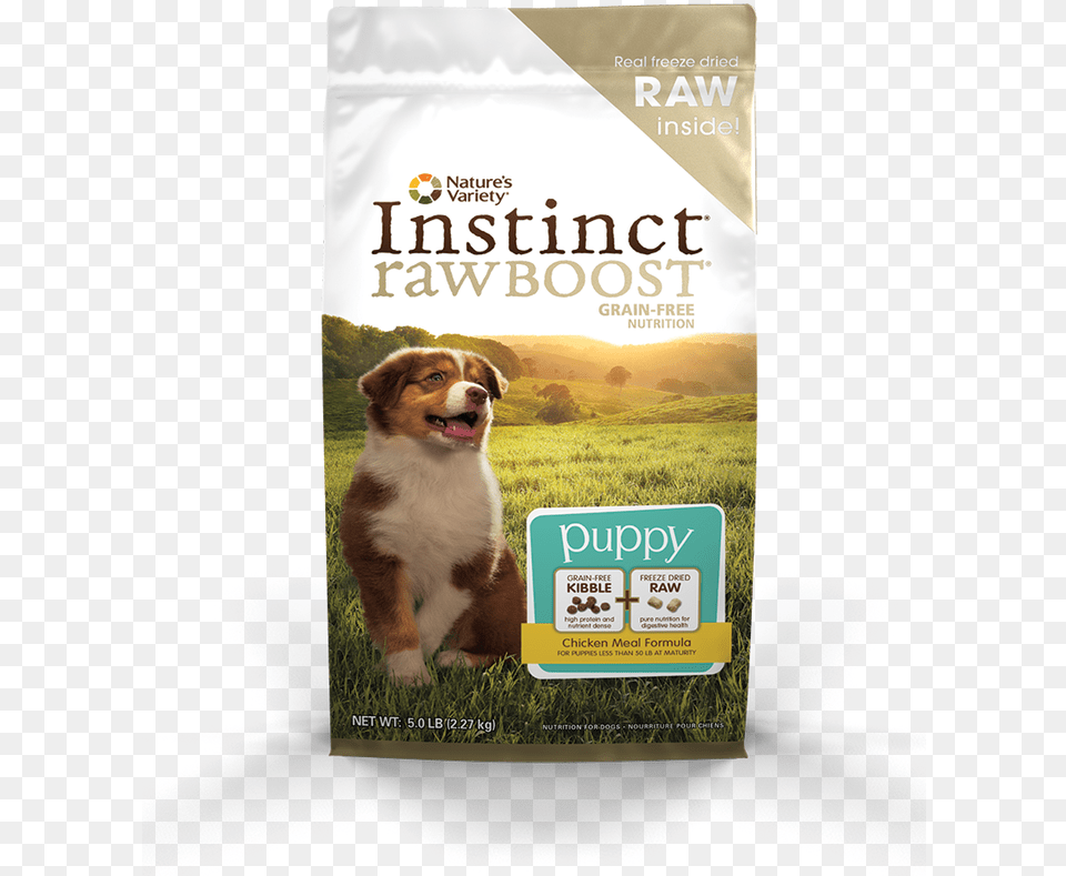Variety Dog Food Puppy, Animal, Canine, Pet, Mammal Png