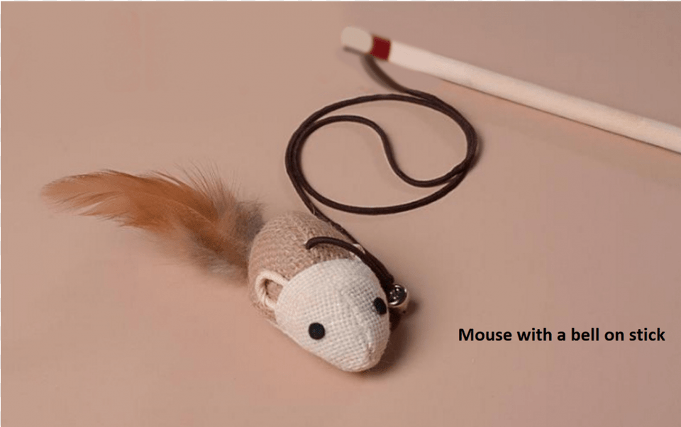 Variety Interactive Pet Toy Cat Squirrel, Accessories, Jewelry, Necklace, Baby Free Png Download