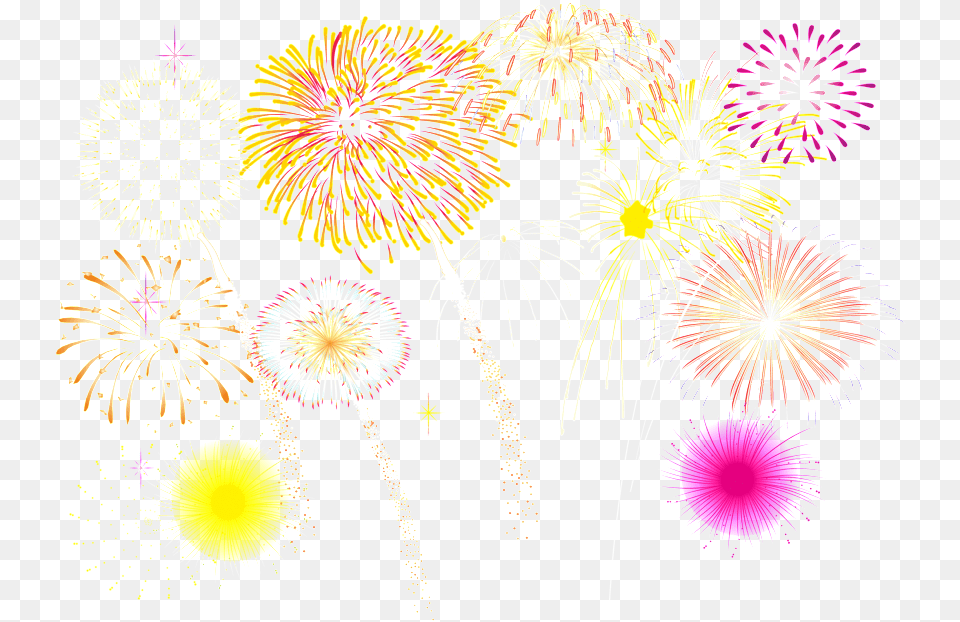 Various Colored Fireworks Transparent Decoratives In Party Vector Fireworks, Plant, Flower, Daisy Free Png Download