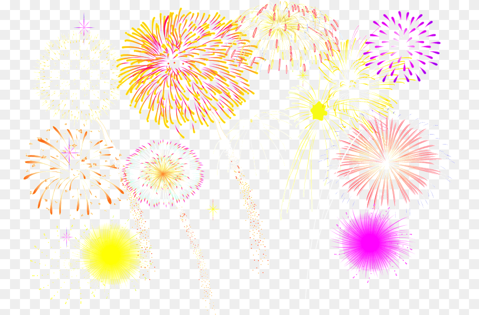 Various Colors Of Fireworks New Year Fireworks, Plant, Flower Png