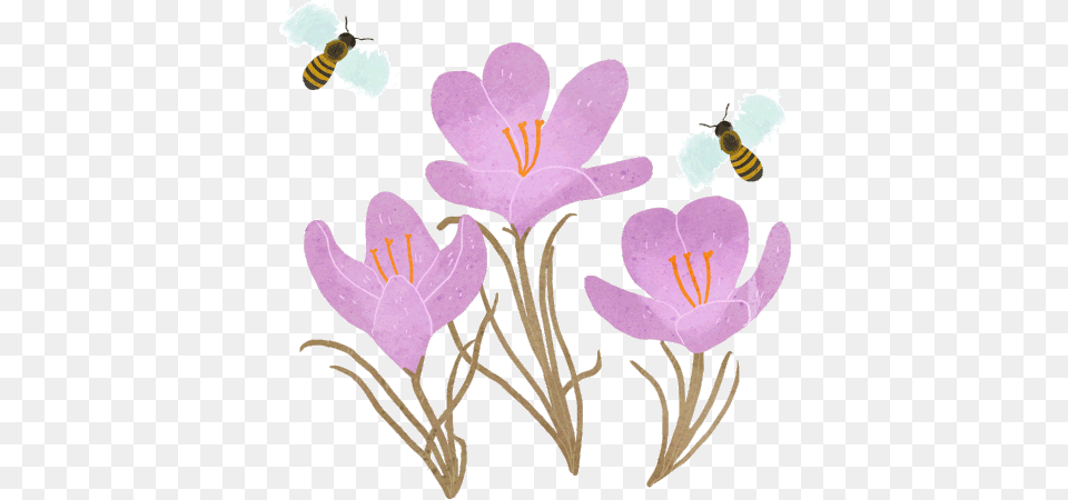 Various Illustrations 2019 Flower Bee Gif, Animal, Petal, Invertebrate, Insect Free Transparent Png