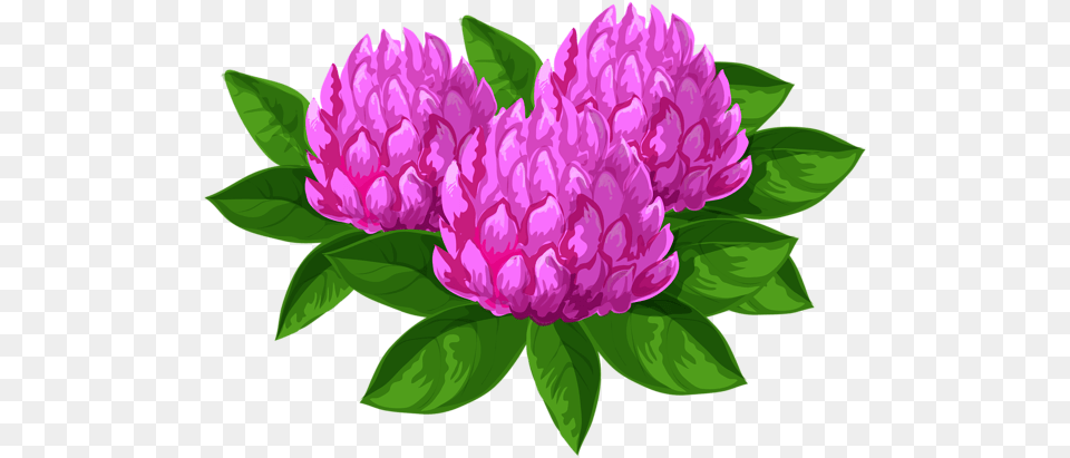 Various Pics Art Images Clip Art, Dahlia, Flower, Plant, Purple Free Transparent Png