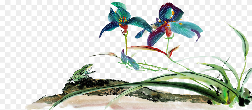 Vascular Plant Shrub Woody Plant Plant Art Color Pattern, Flower, Animal, Bird Free Png