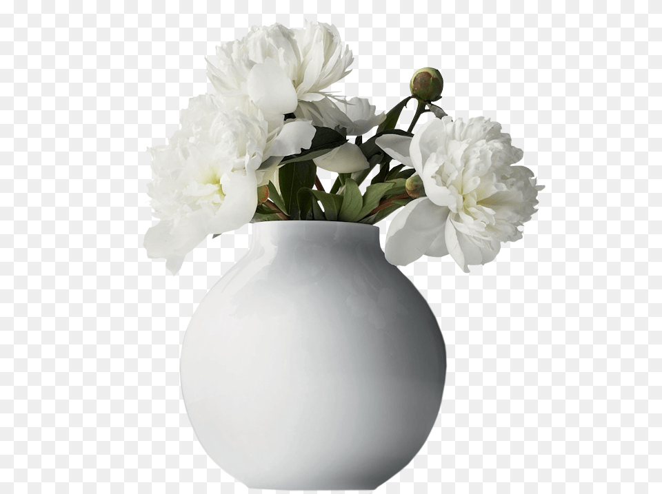 Vase, Flower, Jar, Plant, Potted Plant Free Transparent Png