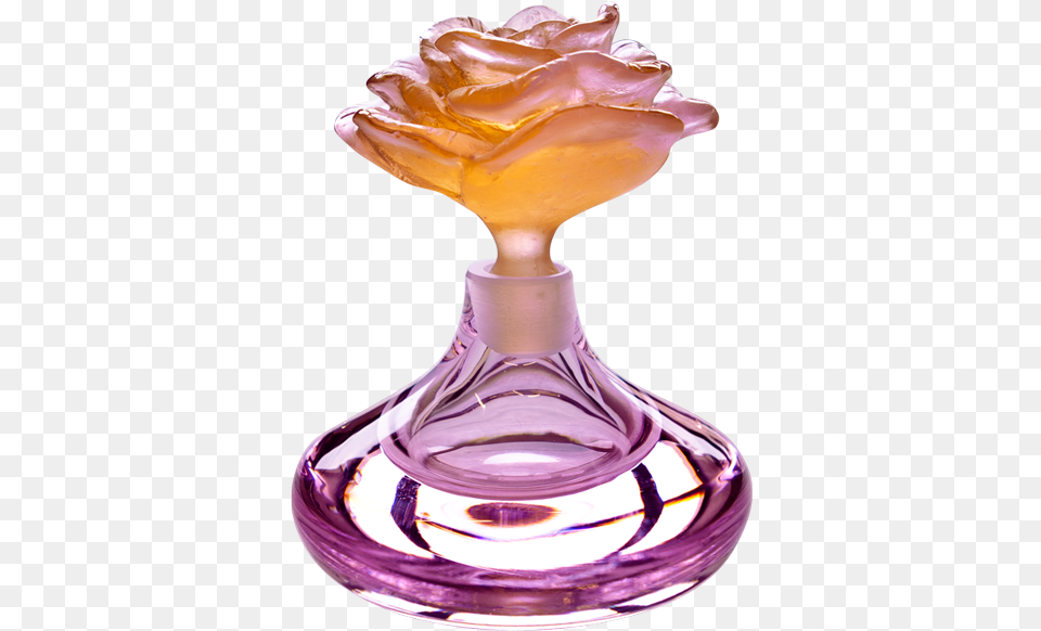 Vase, Bottle, Cosmetics, Perfume, Person Png