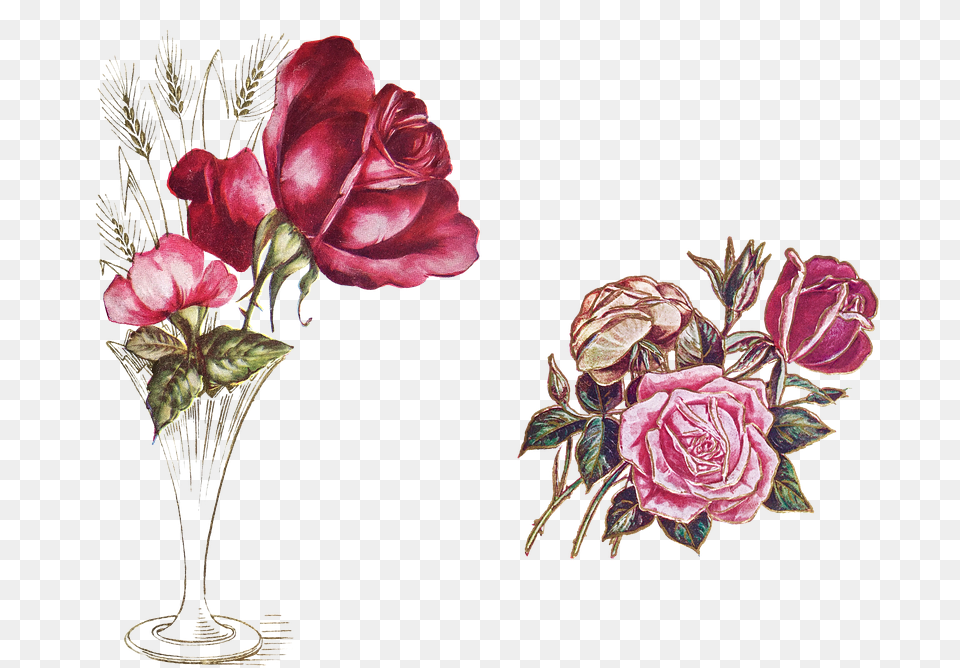 Vase, Rose, Plant, Flower, Pattern Png