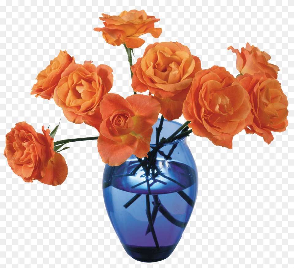 Vase Free Png Download