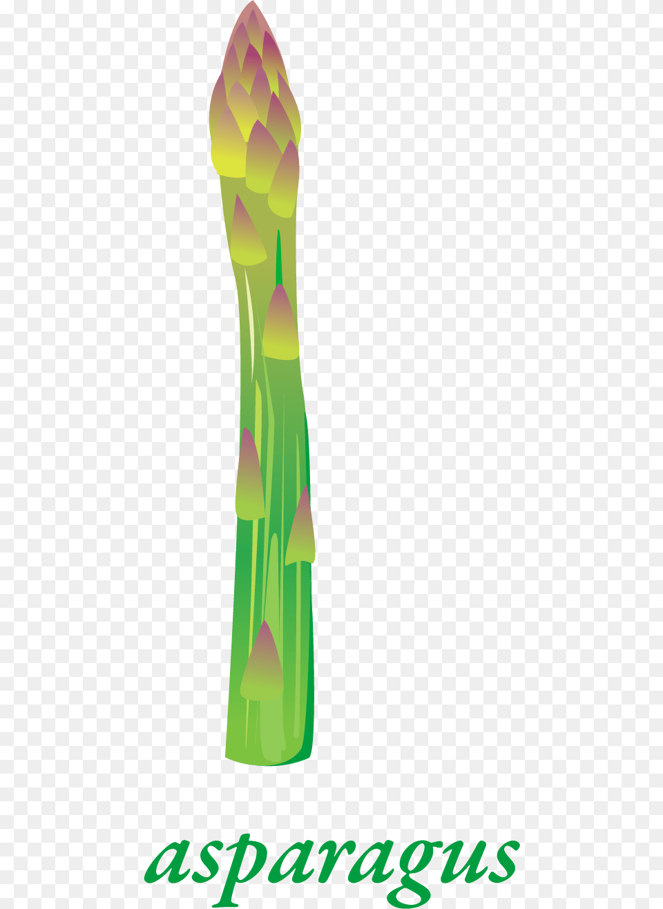 Vase, Food, Produce, Asparagus, Plant Png Image