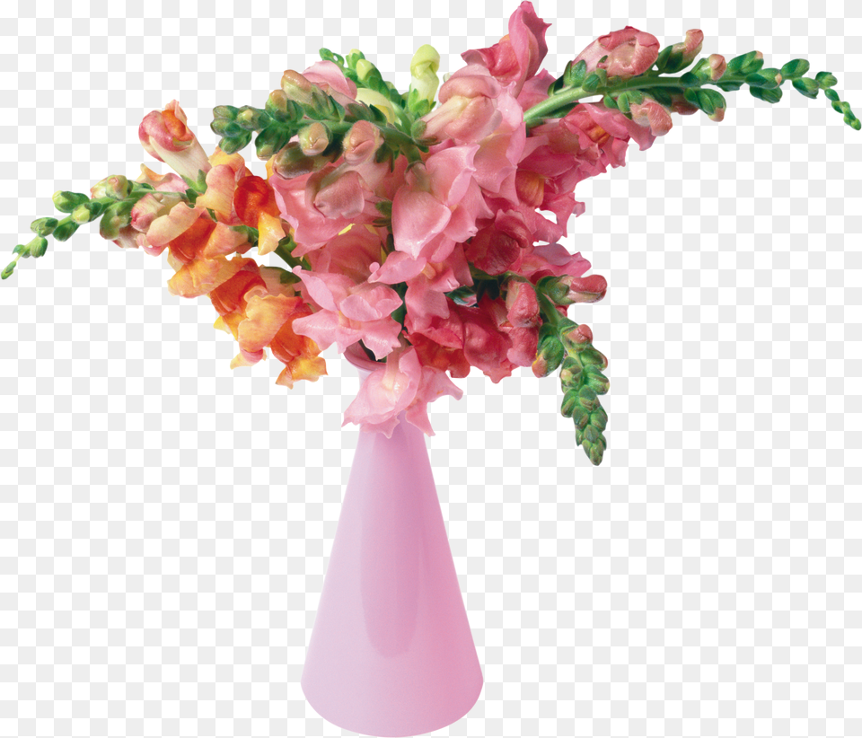 Vase Free Png