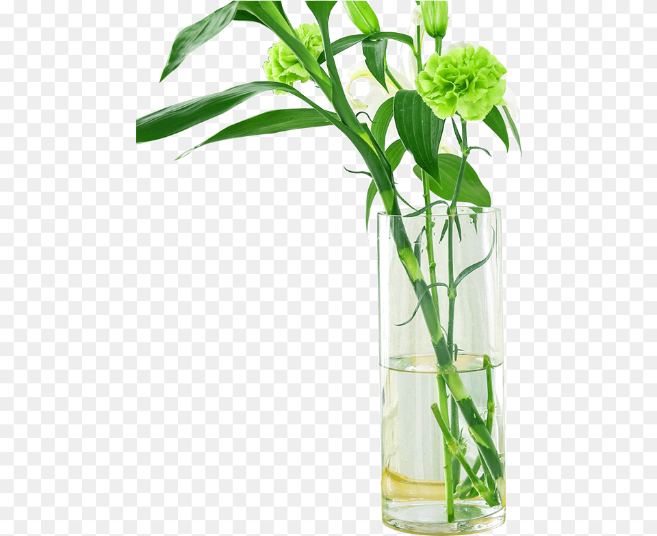 Vase, Flower, Flower Arrangement, Jar, Plant Free Transparent Png