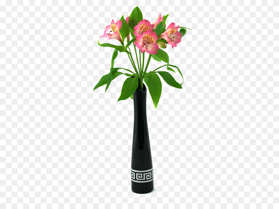 Vase Flower, Flower Arrangement, Flower Bouquet, Jar Png
