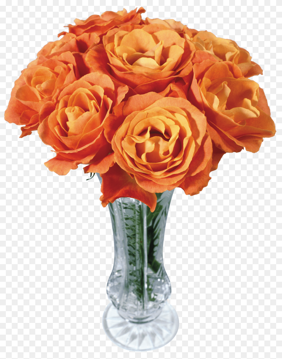 Vase Png