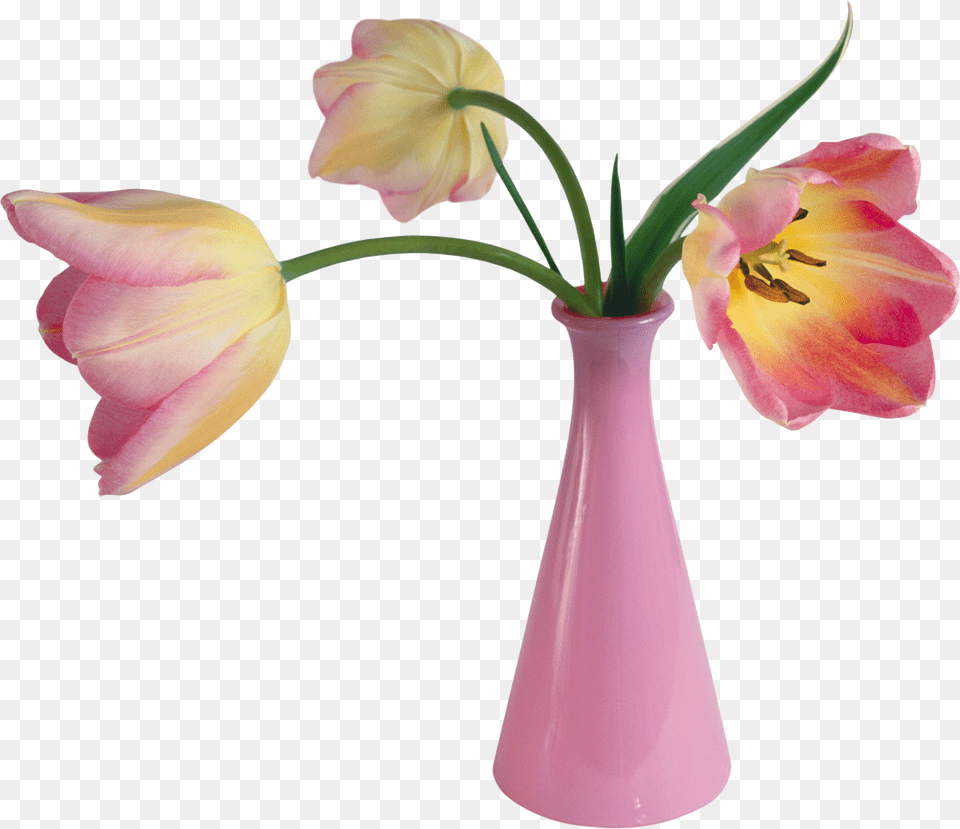 Vase Png Image