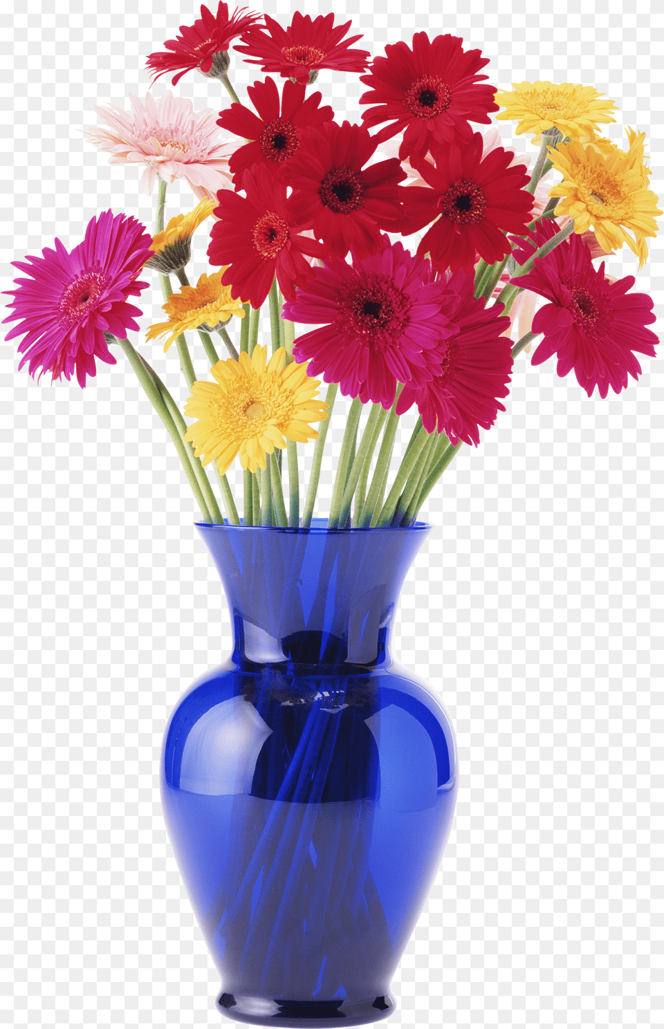 Vase, Daisy, Flower, Flower Arrangement, Flower Bouquet Free Png