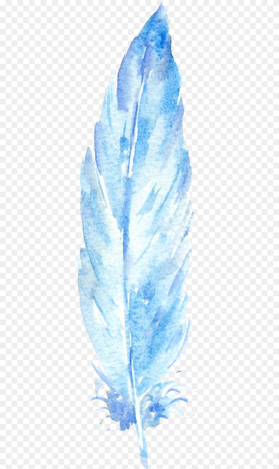 Vase, Ice, Leaf, Plant, Person Free Png Download