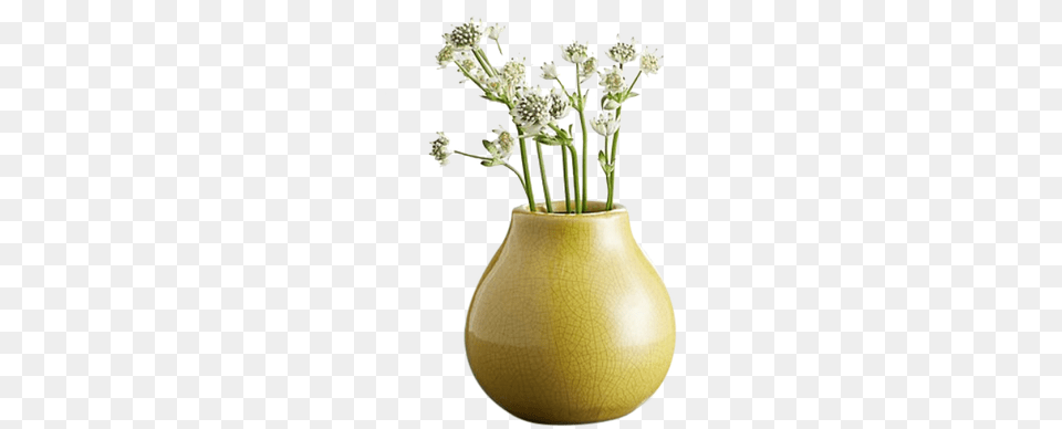 Vase, Jar, Pottery, Flower, Flower Arrangement Free Png