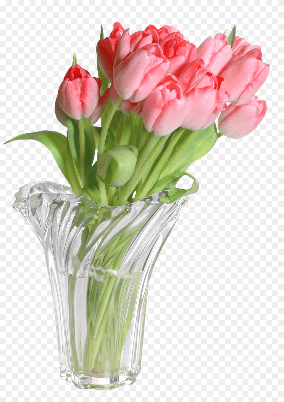 Vase, Flower, Flower Arrangement, Flower Bouquet, Jar Free Png Download