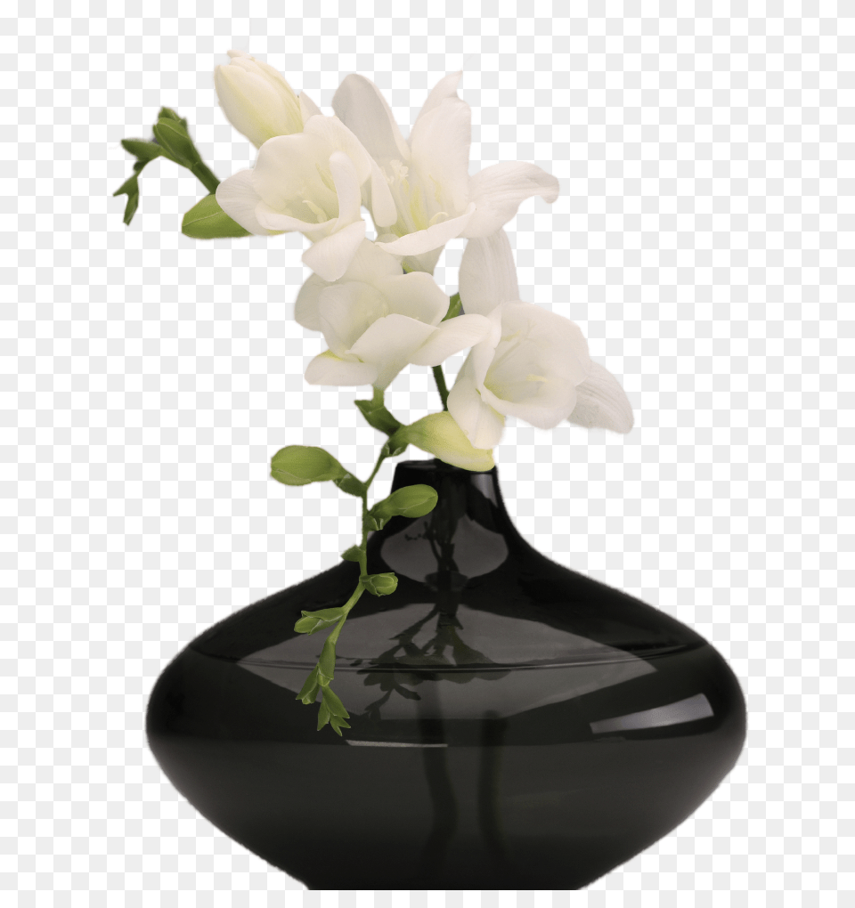 Vase, Flower, Flower Arrangement, Flower Bouquet, Ikebana Free Transparent Png