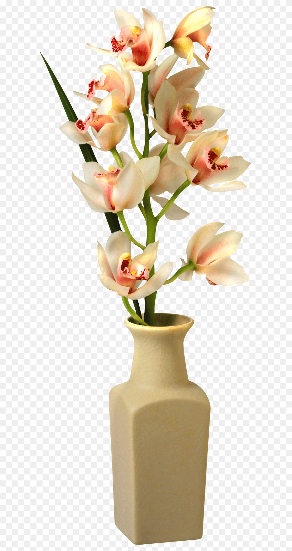 Vase, Flower, Flower Arrangement, Flower Bouquet, Jar Png