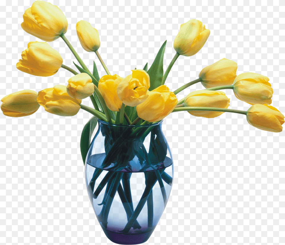 Vase, Art, Adult, Female, Person Free Transparent Png