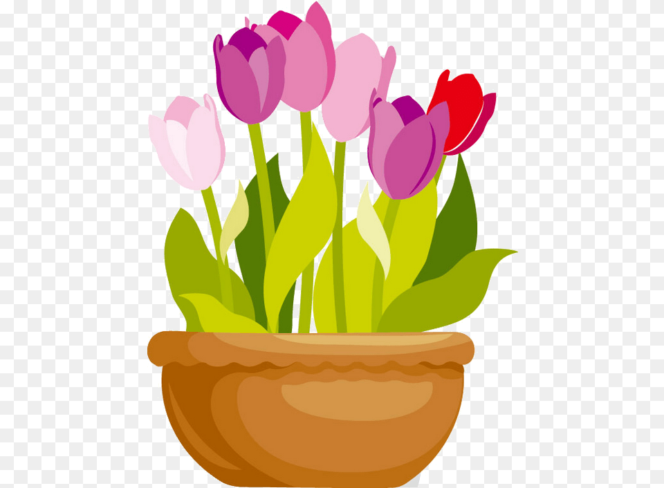 Vase Clipart Tulip Transparent Free For Flower Pot Vector, Potted Plant, Plant, Flower Arrangement, Petal Png