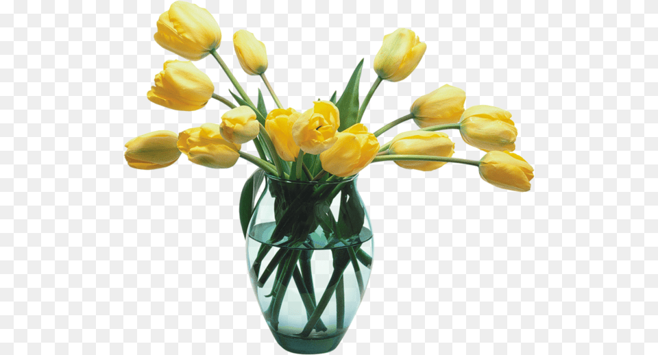 Vase Of Flowers, Flower, Flower Arrangement, Flower Bouquet, Jar Free Png