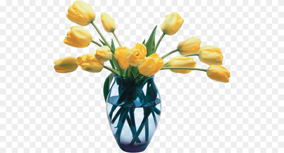 Vase Of Flowers, Flower, Flower Arrangement, Jar, Plant Png