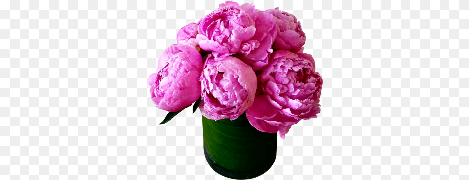 Vase Peony Clipart Hd Bouquets Peony Flower Birthday, Flower Arrangement, Flower Bouquet, Plant, Rose Png