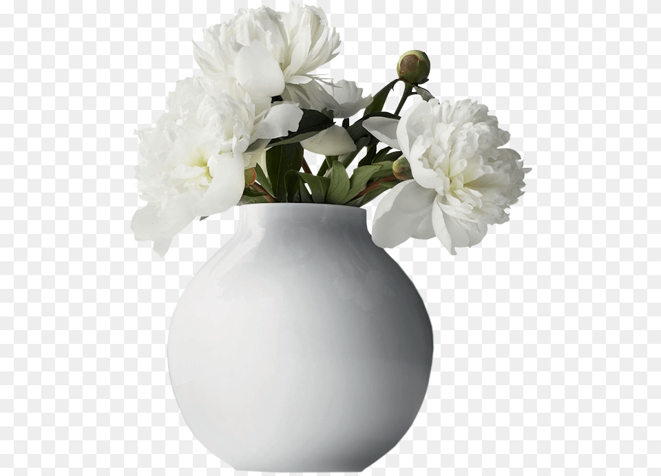 Vase Transparent Images Flowers In A Vase, Flower, Flower Arrangement, Jar, Plant Free Png Download