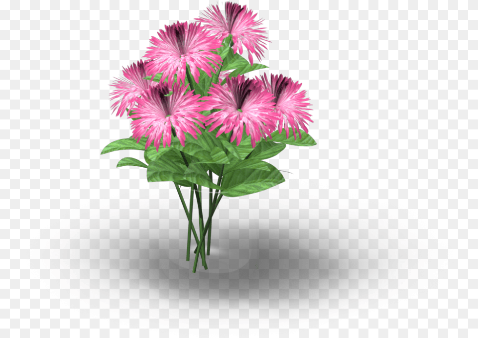 Vase With Flowers Barberton Daisy, Flower, Flower Arrangement, Plant, Potted Plant Free Png Download