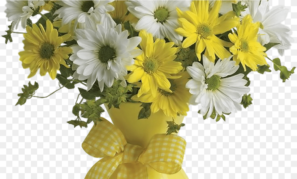 Vase With Yellow And White Daisies Clipart Picture Pink Flower Background, Daisy, Flower Arrangement, Flower Bouquet, Plant Png