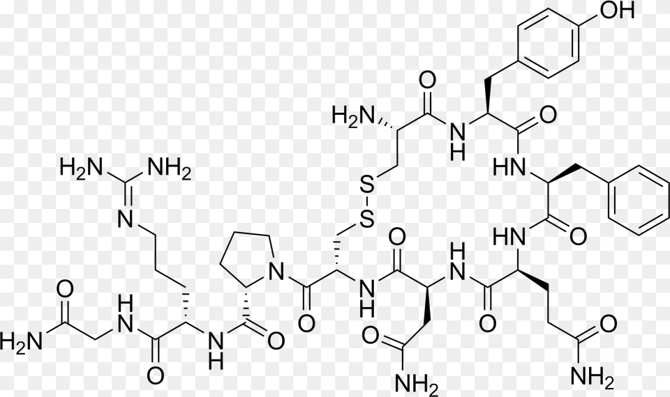 Vasopressin Structure Oxytocin Molecule Necklace Dainty Chemistry Jewelry Png Image