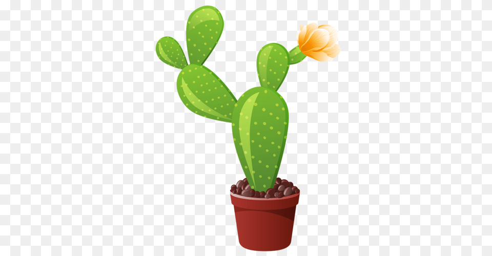 Vazy S Tcvetami Bukety Plants Clip Cactus Flowers, Plant, Dynamite, Weapon Free Png