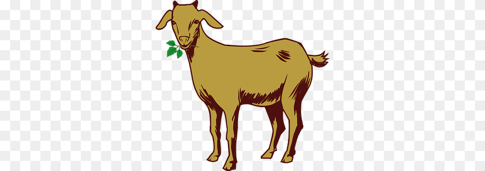 Vector Livestock, Animal, Goat, Mammal Free Transparent Png