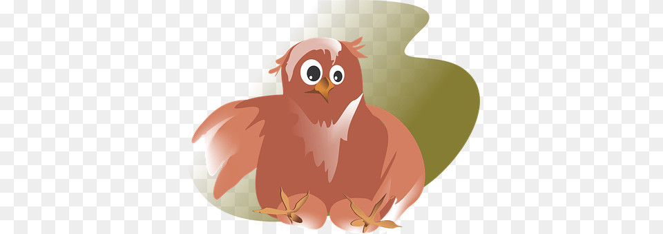 Vector Animal, Beak, Bird, Finch Free Png Download