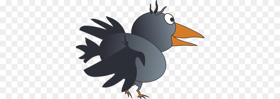 Vector Animal, Beak, Bird, Blackbird Png Image