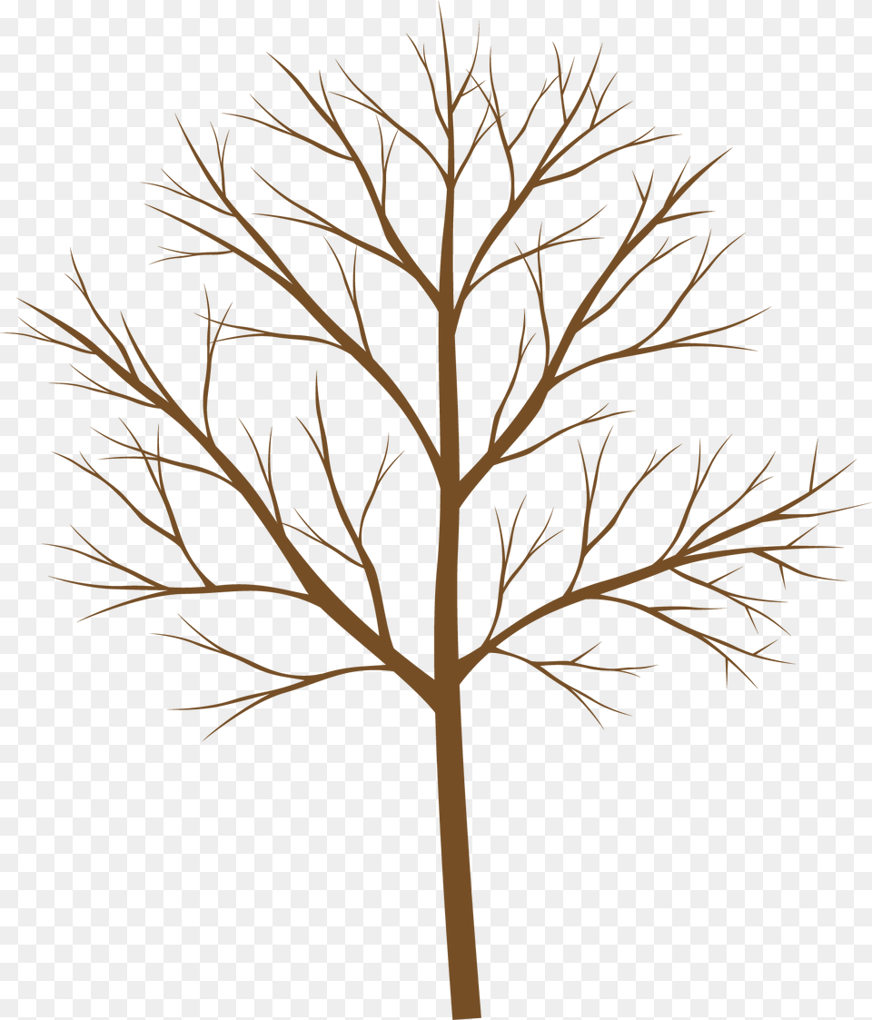Vector, Plant, Tree, Art, Drawing Free Png Download